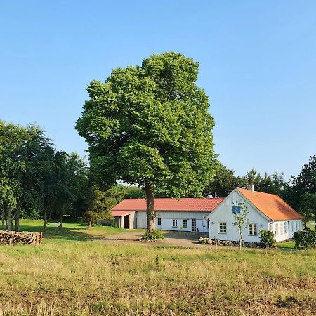 Ferienwohnung Slotsgaardens Feriegard. Jels Exterior foto