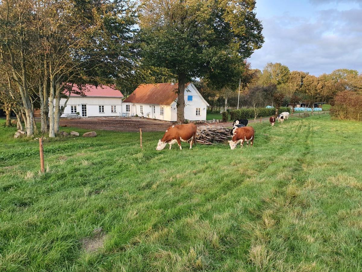 Ferienwohnung Slotsgaardens Feriegard. Jels Exterior foto
